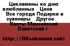 Цикламены ко дню влюбленных › Цена ­ 180 - Все города Подарки и сувениры » Другое   . Ханты-Мансийский,Советский г.